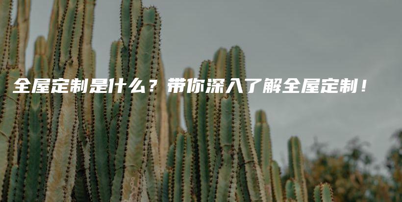 全屋定制是什么？带你深入了解全屋定制！